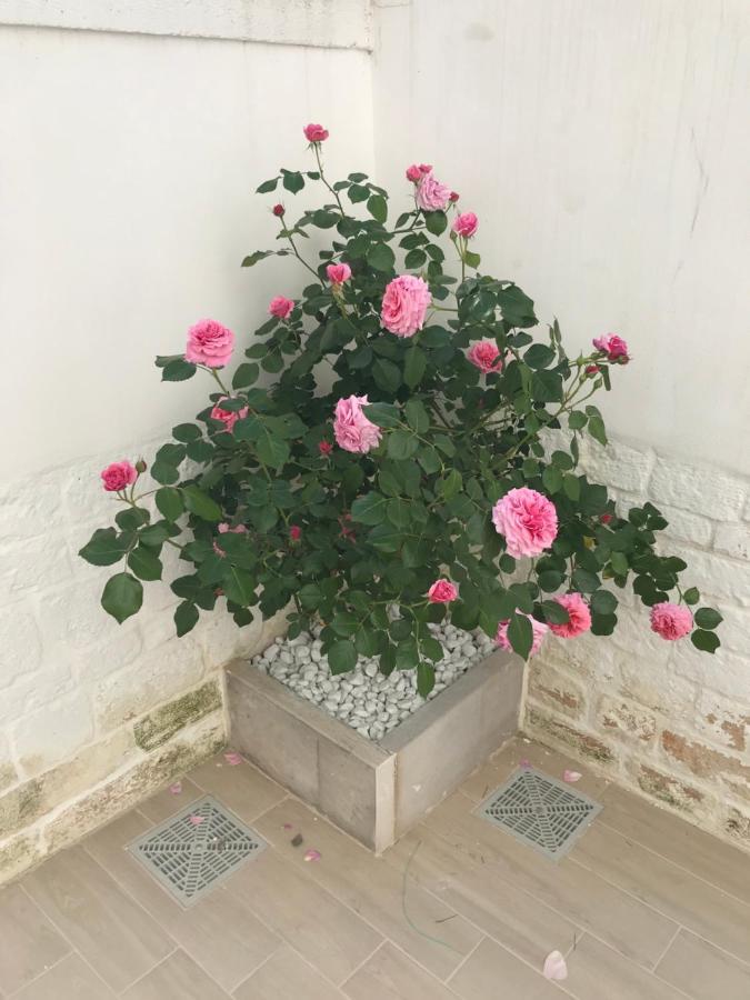 阿尔贝罗贝洛Nido Di Pietra-Dimora In Centro住宿加早餐旅馆 外观 照片